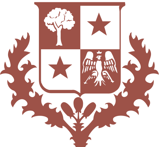 Ботинки Open Walk